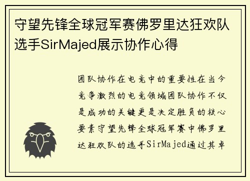 守望先锋全球冠军赛佛罗里达狂欢队选手SirMajed展示协作心得