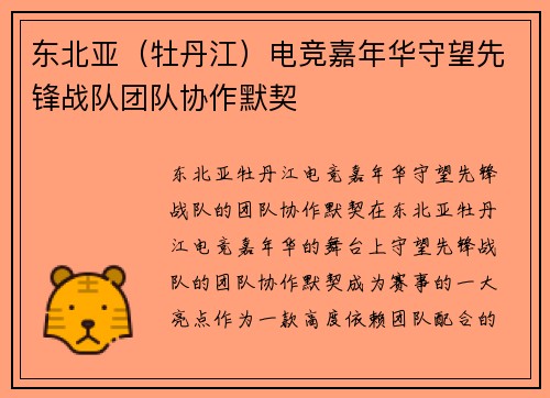 东北亚（牡丹江）电竞嘉年华守望先锋战队团队协作默契