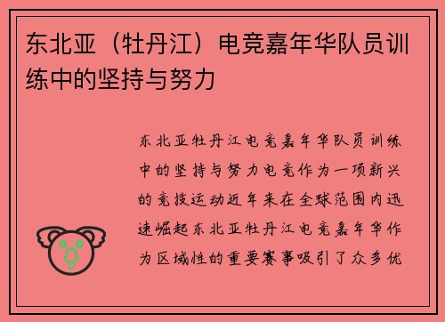 东北亚（牡丹江）电竞嘉年华队员训练中的坚持与努力