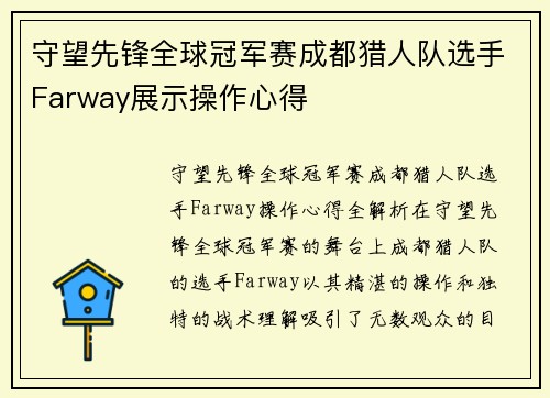 守望先锋全球冠军赛成都猎人队选手Farway展示操作心得