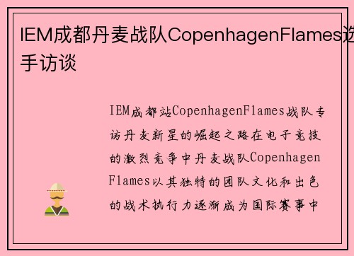 IEM成都丹麦战队CopenhagenFlames选手访谈